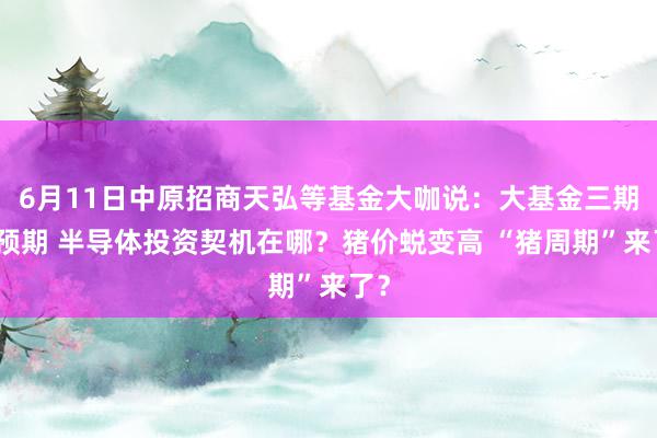 6月11日中原招商天弘等基金大咖说：大基金三期超预期 半导体投资契机在哪？猪价蜕变高 “猪周期”来了？