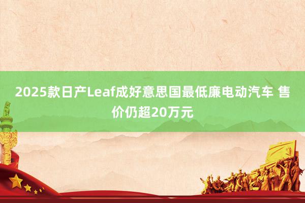 2025款日产Leaf成好意思国最低廉电动汽车 售价仍超20万元