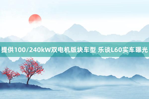 提供100/240kW双电机版块车型 乐谈L60实车曝光