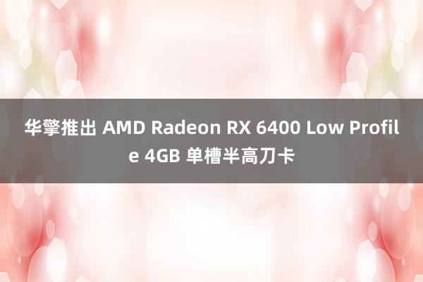 华擎推出 AMD Radeon RX 6400 Low Profile 4GB 单槽半高刀卡