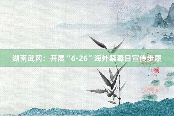 湖南武冈：开展“6·26”海外禁毒日宣传步履