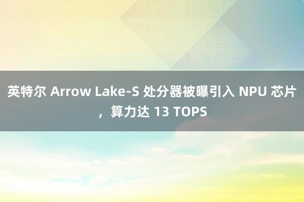 英特尔 Arrow Lake-S 处分器被曝引入 NPU 芯片，算力达 13 TOPS