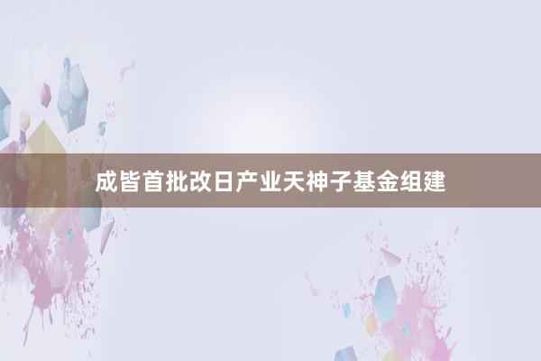 成皆首批改日产业天神子基金组建