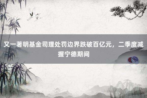 又一著明基金司理处罚边界跌破百亿元，二季度减握宁德期间