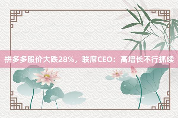 拼多多股价大跌28%，联席CEO：高增长不行抓续