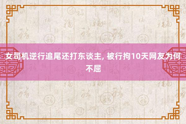 女司机逆行追尾还打东谈主, 被行拘10天网友为何不屈