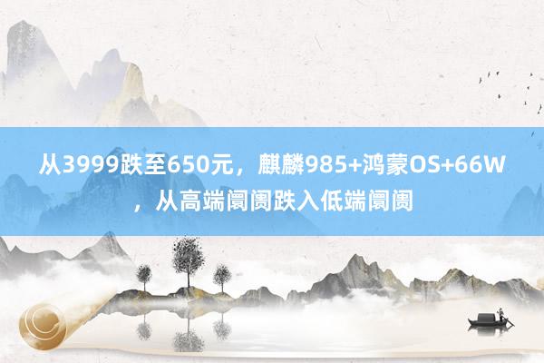 从3999跌至650元，麒麟985+鸿蒙OS+66W，从高端阛阓跌入低端阛阓