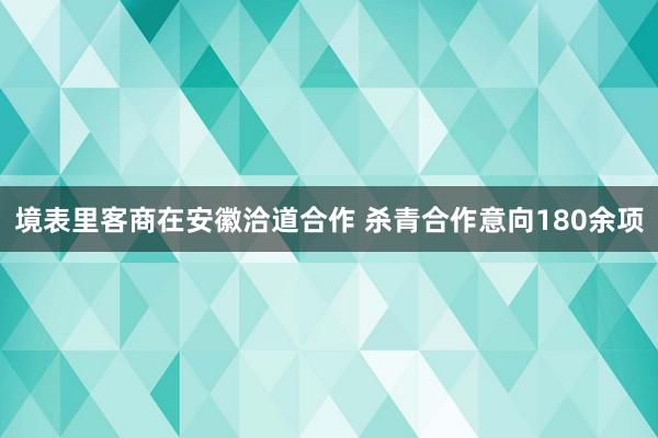 境表里客商在安徽洽道合作 杀青合作意向180余项